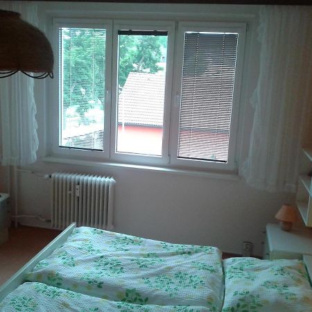 Apartman Csa Františkovy Lázně المظهر الخارجي الصورة